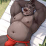 0343 Baloo [4 SFW + 15 NSFW]
