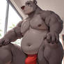 0372 Baloo [4 SFW + 15 NSFW]