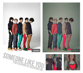 Someone like you PSD