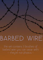 Barbed Wire BRUSHES
