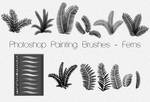Photoshop Painting Brushes - FERNS
