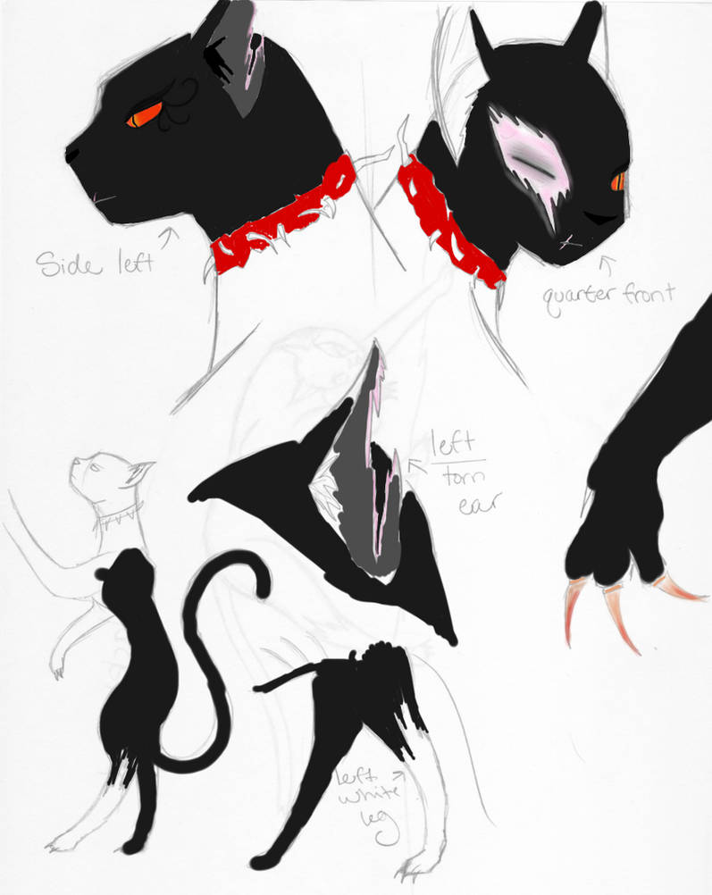 Blackheart REF Sheet by Gameraider100 on DeviantArt