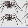 Spider Pack 1 - HB593200