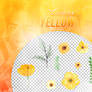 Recursos/ Flowers png/Yellow