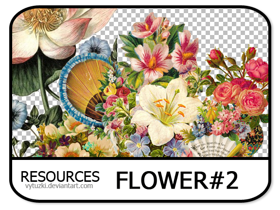 PNG pack #6 - Flower#2 - Vy Tuzki