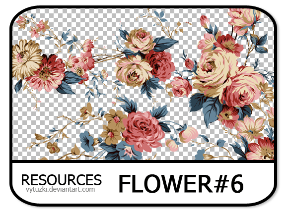 PNG pack #10 - Flower#6 - Vy Tuzki by VyTuzki