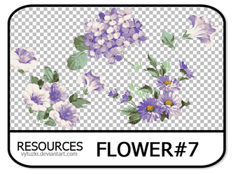 PNG pack #11 - Flower#7 - Vy Tuzki