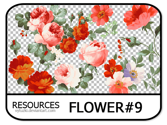 PNG pack #13 - Flower#9 - Vy Tuzki