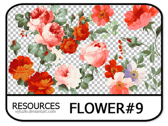 PNG pack #13 - Flower#9 - Vy Tuzki