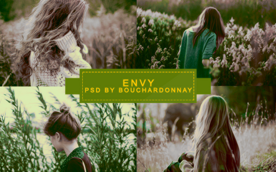 ENVY \ psd coloring by bouchardonnay