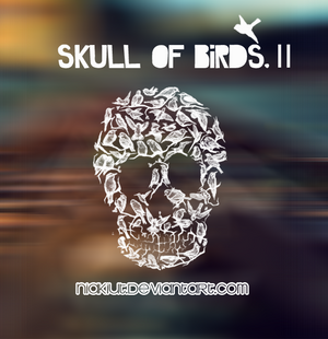 Skull of birds 2