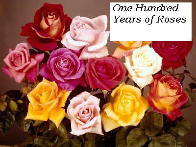 One Hundred Years of Roses by DuchessdeMedici on DeviantArt