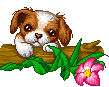 Little Puppy for ChiamHarkem