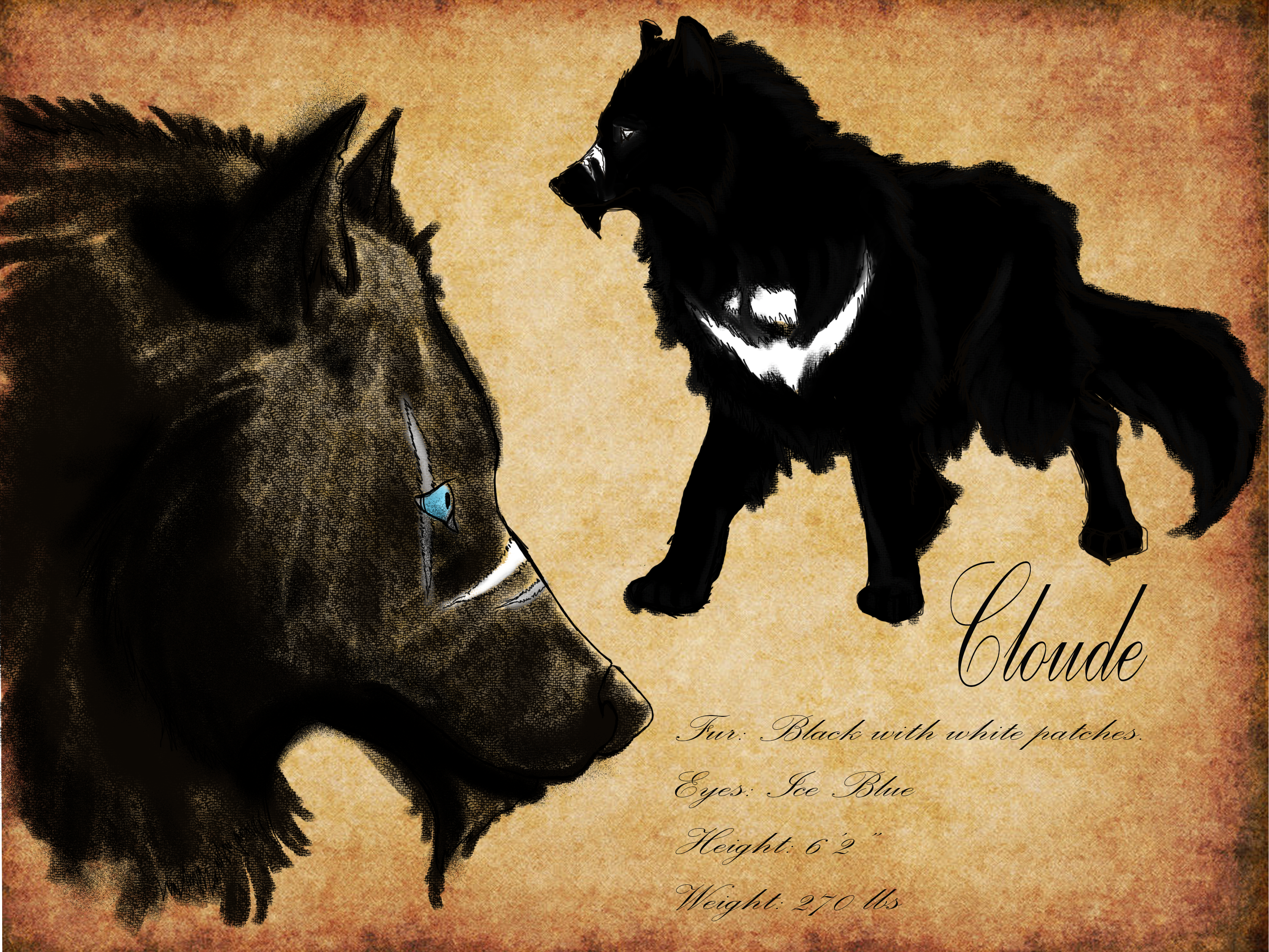 [ Lunaxia's Black Book ] Cloude