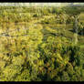 Ecosystems overlapping (1080p) 