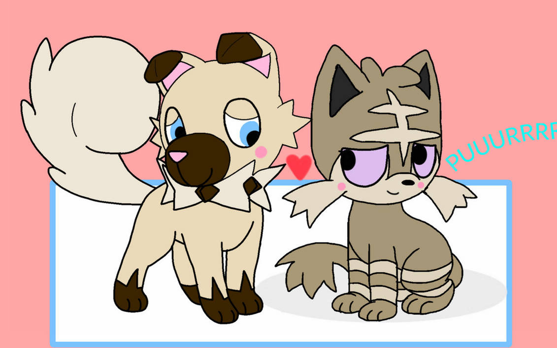 Canine X Feline by 452799 on DeviantArt