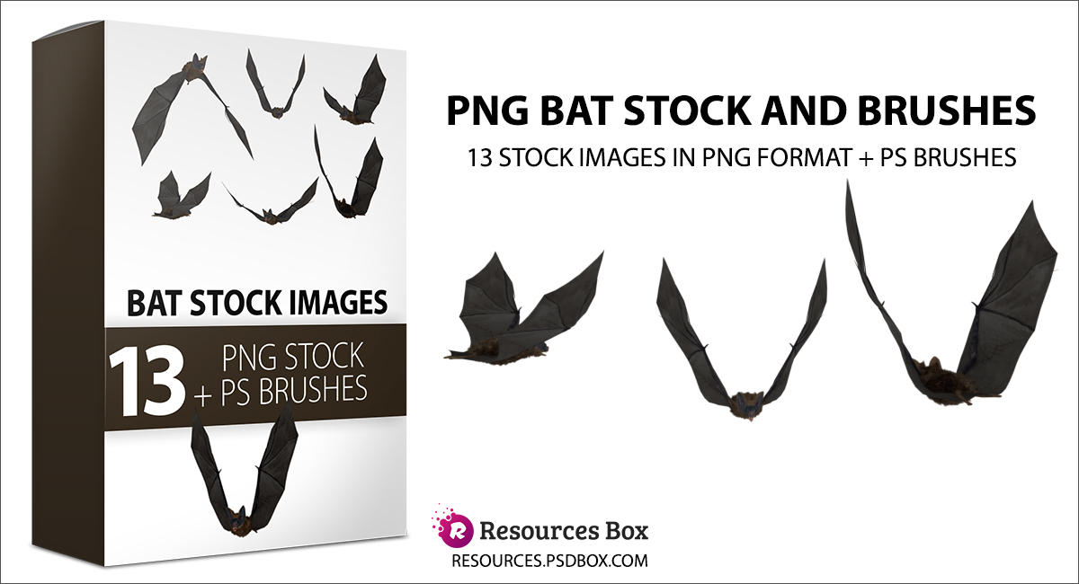 Flying bats PNG Stock and Brushes by AndreiOprinca on DeviantArt
