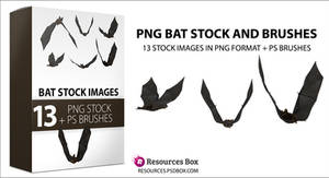 Flying bats PNG Stock and Brushes