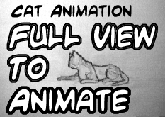 Cat Animation