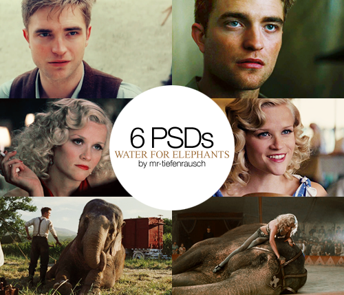 6 PSDs PACK - WFE