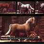 Horse's poses DL