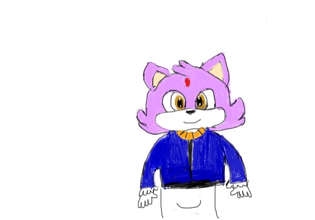 Flame the Cat by thebeachmunks on DeviantArt