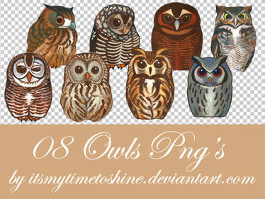 PNG pack 5 - OWLS
