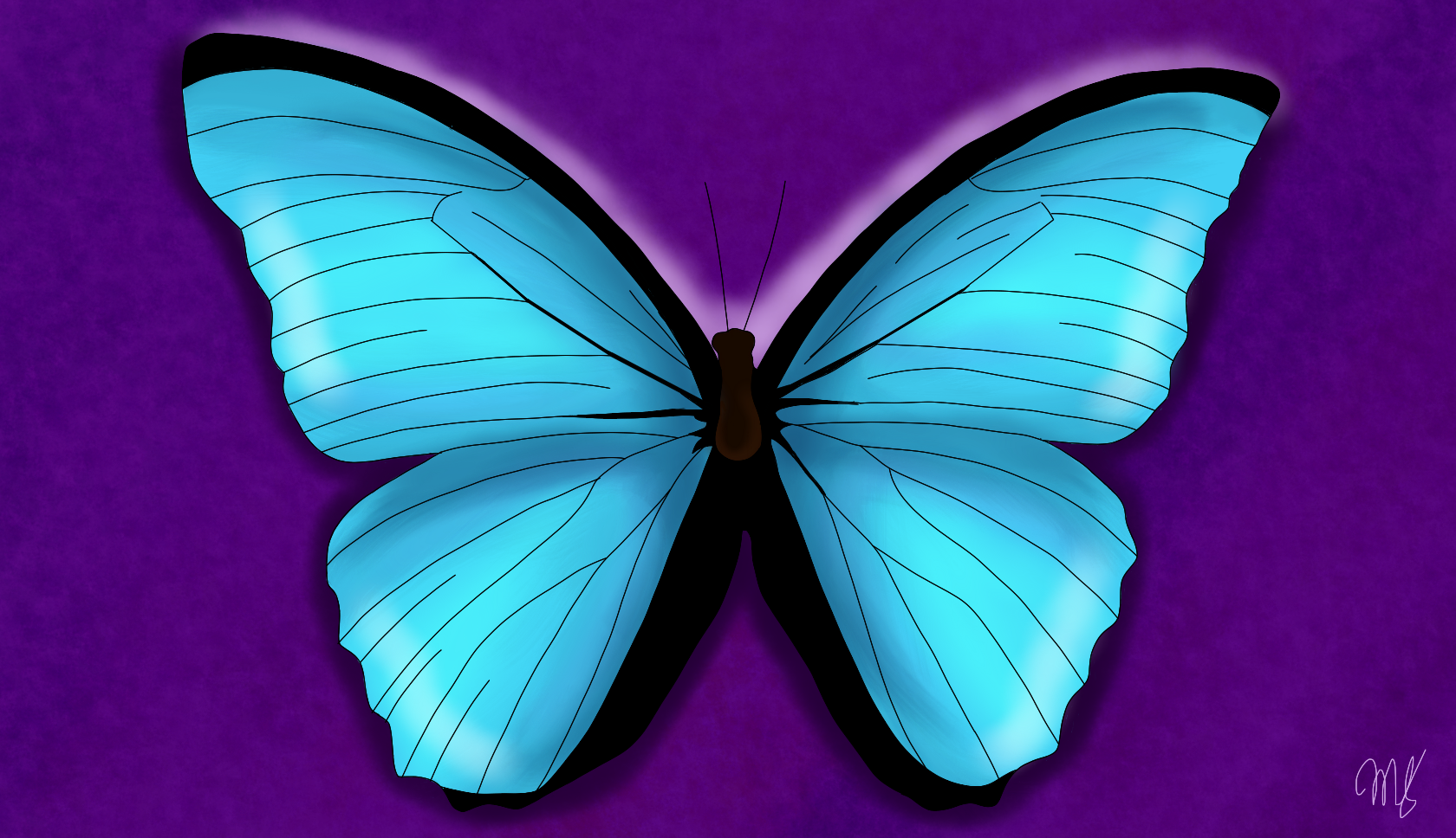 Blue Butterfly