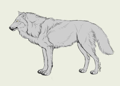 Explore the Best Wolf_base Art | DeviantArt