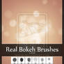Real Bokeh Brushes