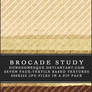 Brocade Study Texture Set