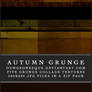 Autumn Grunge Textures Set