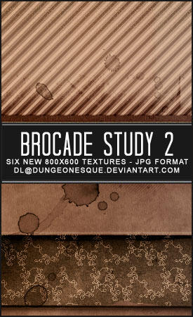 Brocade Study 2 Texture Set