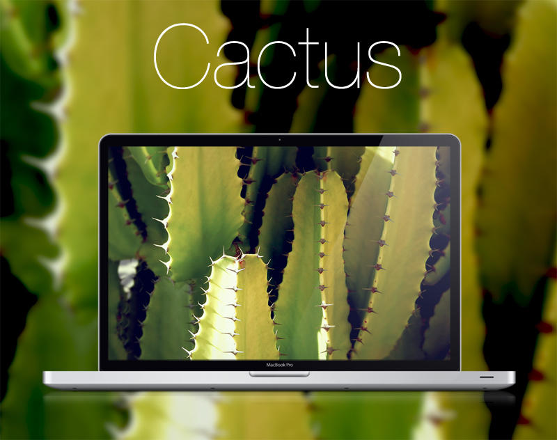 Cactus HD Wallpaper by infernoragazzo on DeviantArt
