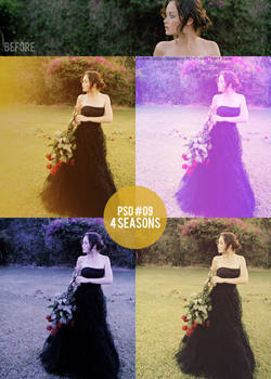 PSD 09 - 4 Seasons