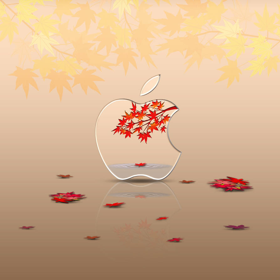 6 Aesthetic Fall Wallpapers  Drink Fall Wallpaper iPad  Idea Wallpapers   iPhone WallpapersColor Schemes