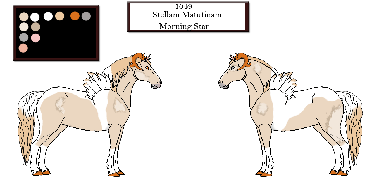 1049 | Stellam Matutinam