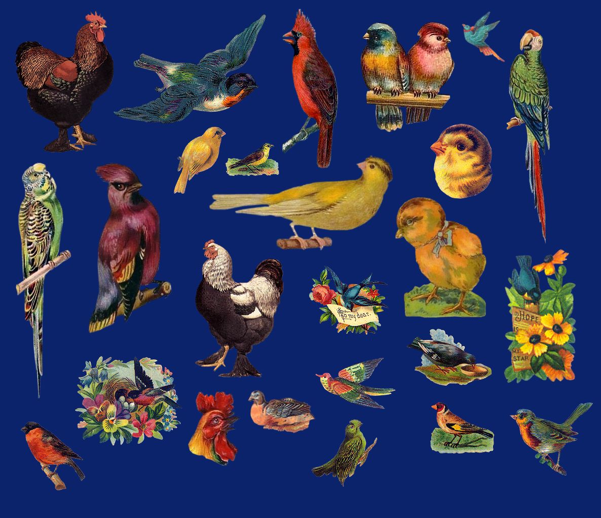 Vict bird-pack 10_quaddles by quaddles