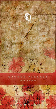 Package - Vintage Grunge - 2