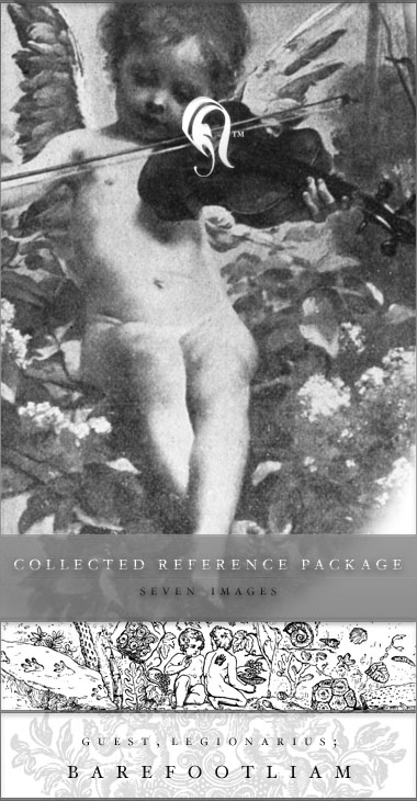 Package - Collected Ref - 2