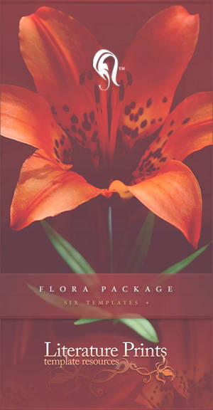 Package - Flora - 9b