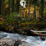 Package - River - 7