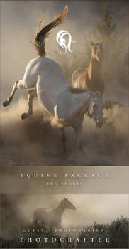 Package - Equine - 3