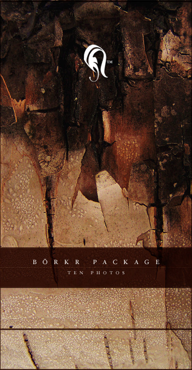 Package - Borkr - .5