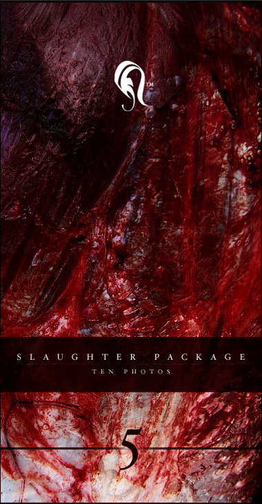 Package - Slaughter - 5 by resurgere