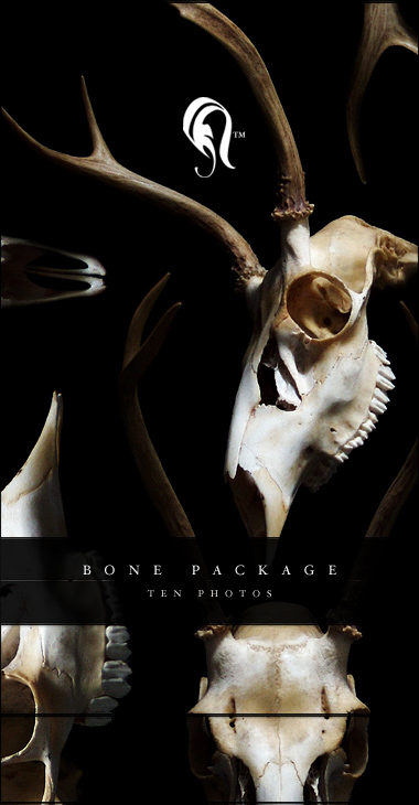 Package - Bone - 0.5 by resurgere