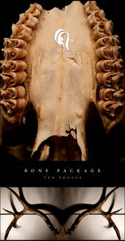 Package - Bone - 2