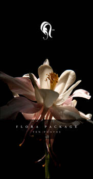 Package - Flora - 0.5