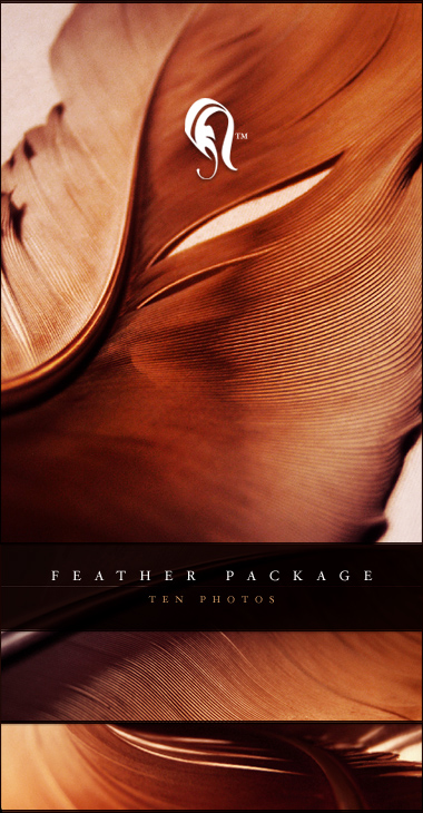 Package - Feather - 2