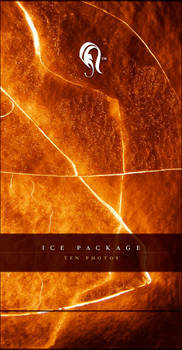 Package - Ice - 4